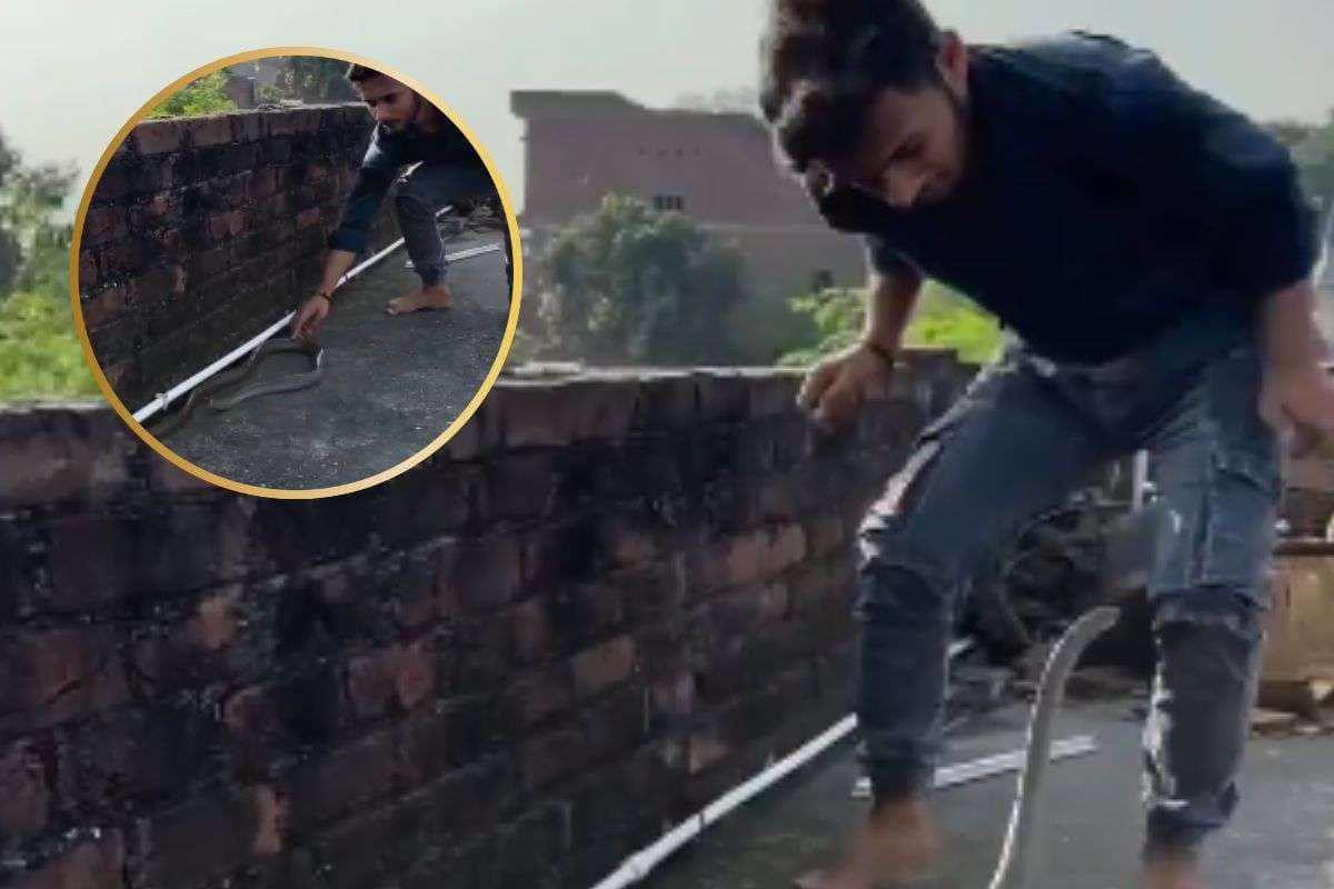 Viral Video : सांप के साथ मजाक नहीं, वीडियो देखकर आप भी कहेंगे ये बात