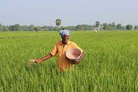 Agriculture: नकली कृषि उत्पाद बेचने वालों पर केंद्र सरकार करेगी सख्त कार्रवाई