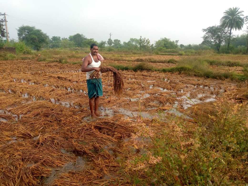 बारिश ने फतेहपुर के किसानों की बढ़ाई चिंता