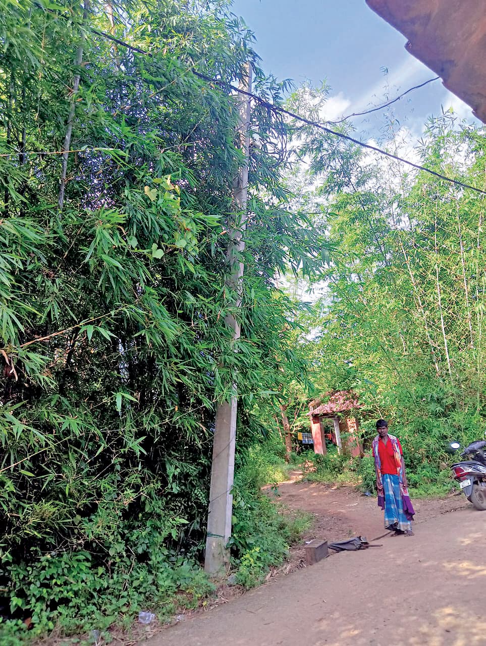 East Singhbhum News : जैसे-तैसे खंभा गाड़ रही एजेंसी, कुछ दिन में ही झुके