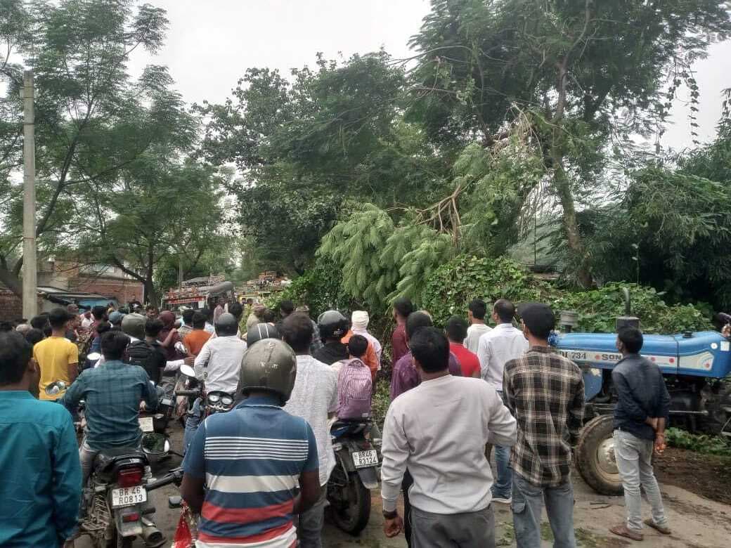 सड़क पर गिरा वर्षों पुराना पेड़, बाल-बाल बचे लोग