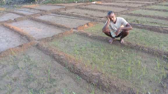 चक्रवाती तूफान मोंथा से सब्जी की खेती बर्बाद, दस लाख से अधिक का नुकसान