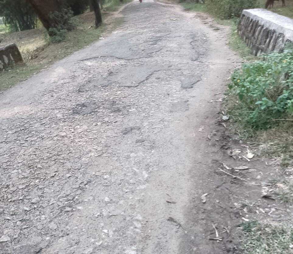 Giridih News :मुंडरो पंचायत सचिवालय जाने वाली सड़क बदहाल, राहगीर परेशान