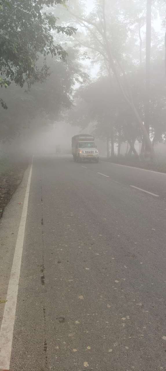 Motihari: शहर की अपेक्षा ग्रामीण क्षेत्रों में कुहासे का कहर, रफ्तार पर ब्रेक