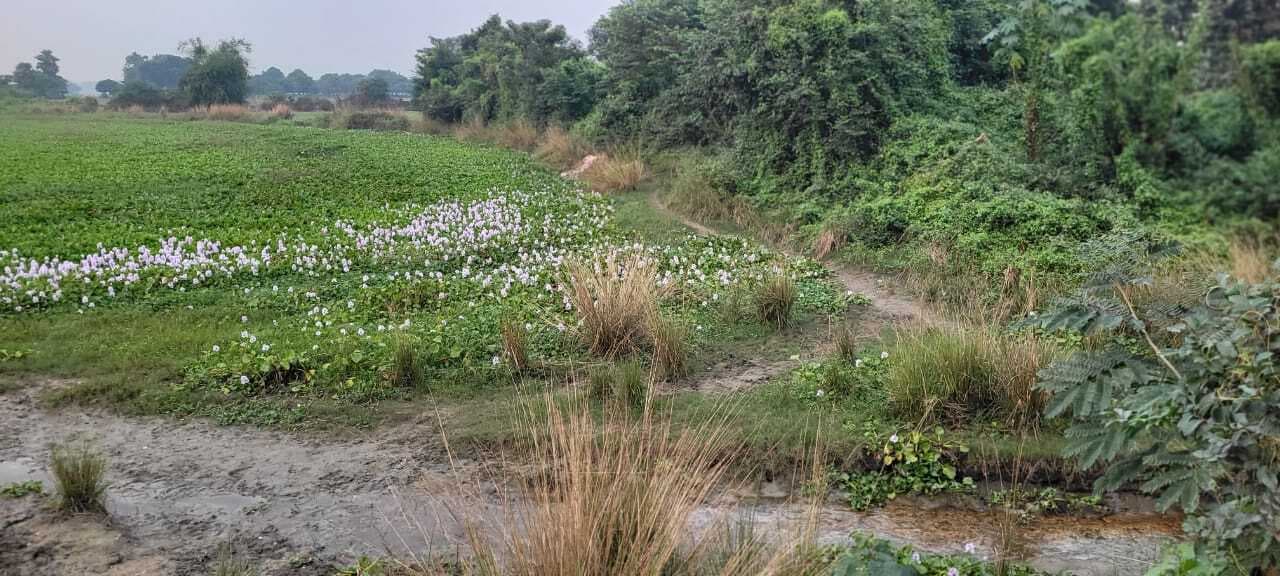 चुनावी मुद्दा, प्रखंड के 15 महादलि के लिए नहीं है श्मशान घाट