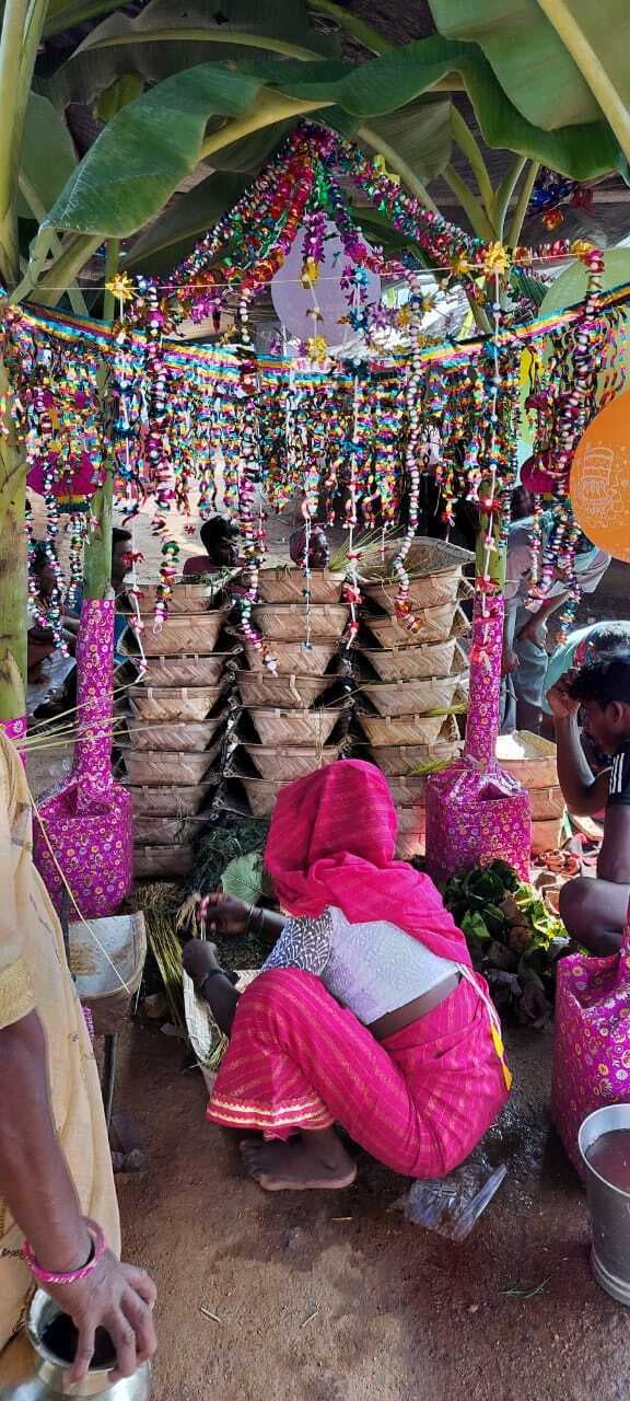 प्रकृति व मेहनतकश जीवन का प्रतीक है करम पूजा