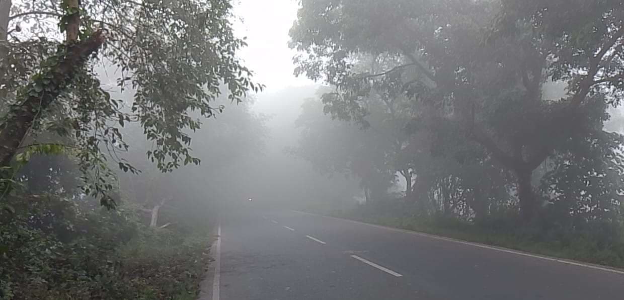 Madhubani News : बढ़ने लगा कुहासे का प्रकोप, आवागमन में परेशानी
