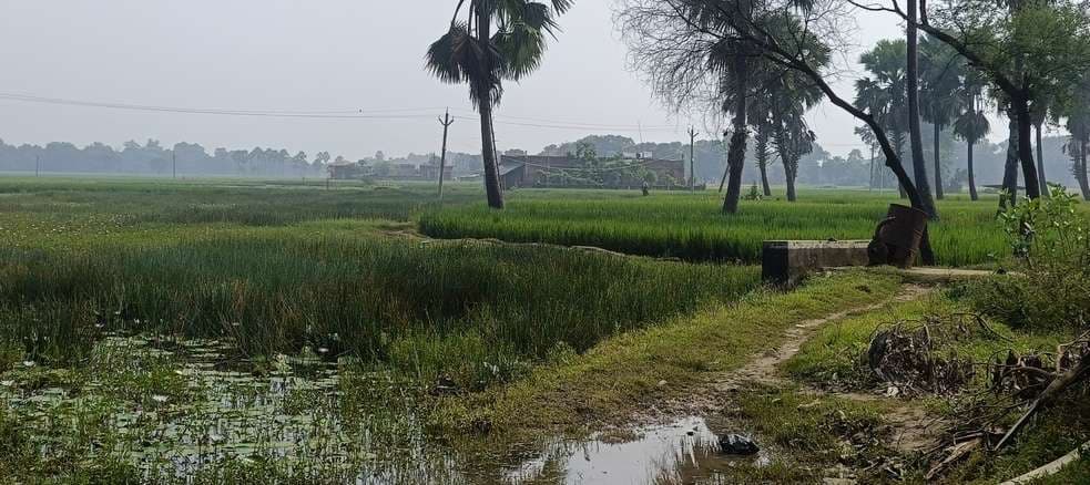 बसखोरिया गांव आज भी विकास से वंचित, मूलभूत सुविधाओं की कमी से ग्रामीण त्रस्त