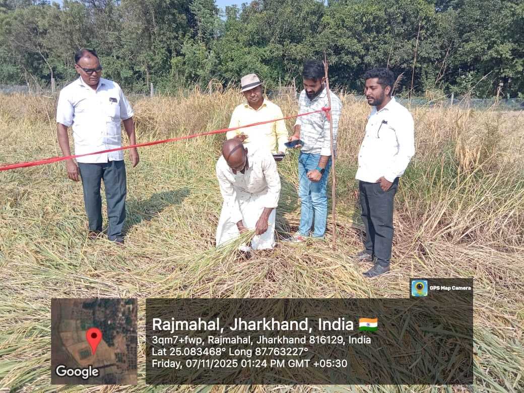 सैदपुर पंचायत में फसल कटनी प्रयोग प्रारंभ