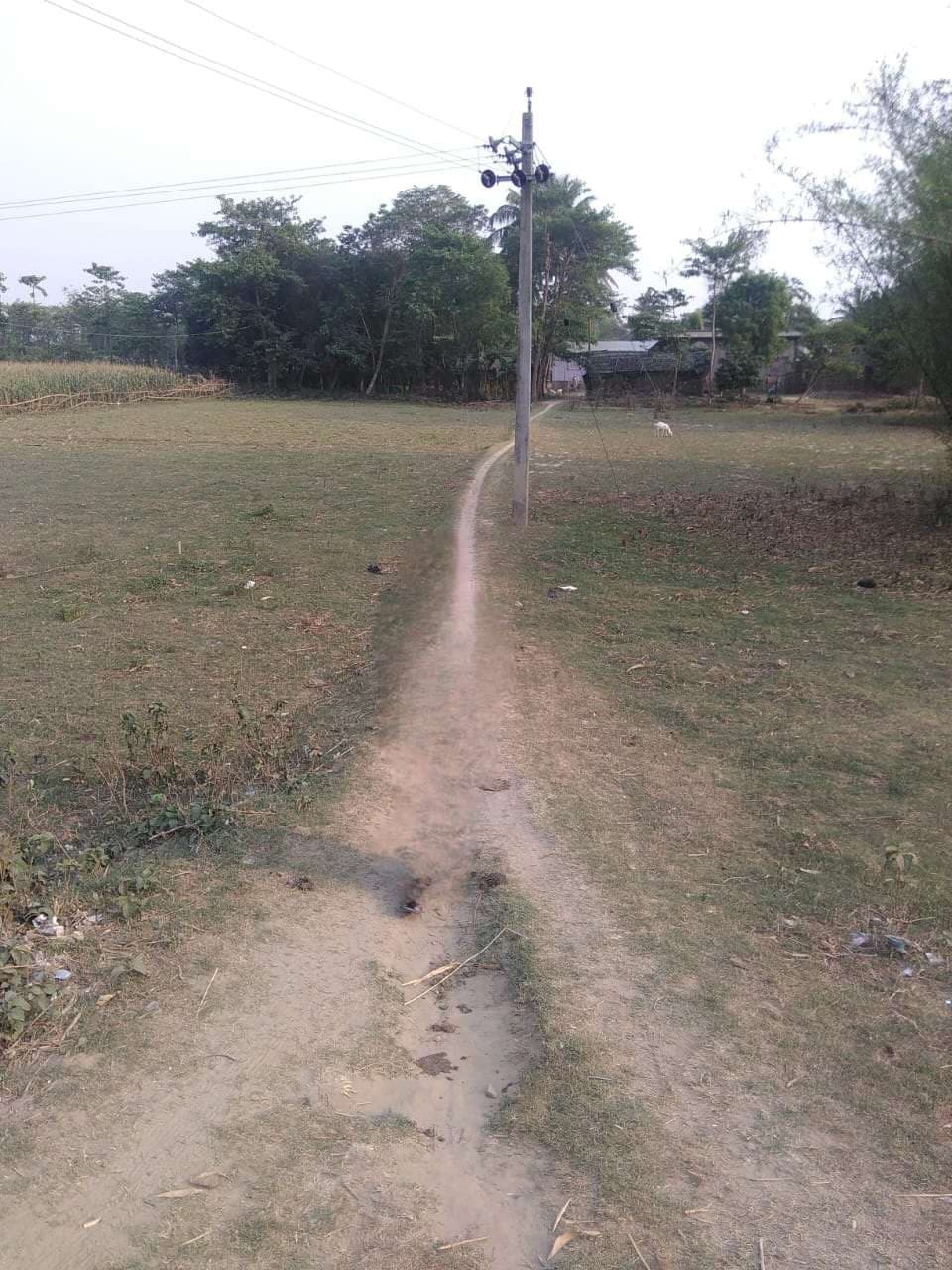 अब तक शिवनगर नेपाली टोला में नहीं बनी पक्की सड़क