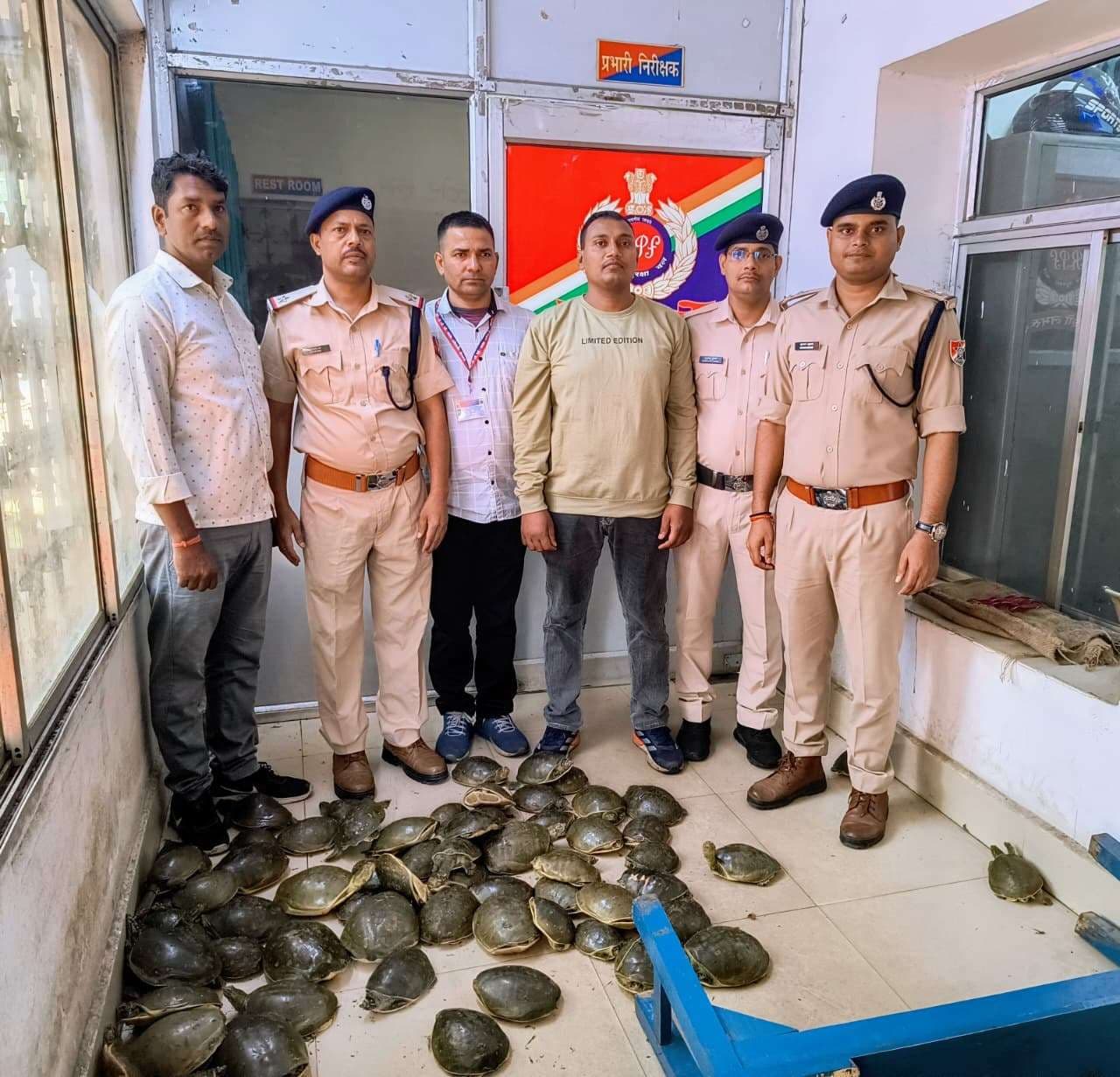 Dhanbad News: दून एक्सप्रेस की महिला बोगी से 78 कछुआ बरामद