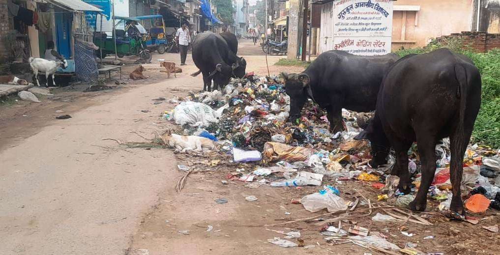 चुनावी शोर में थम गया सफाई कार्य, जगह-जगह लगे कचरे के ढेर से उठ रहा दुर्गंध