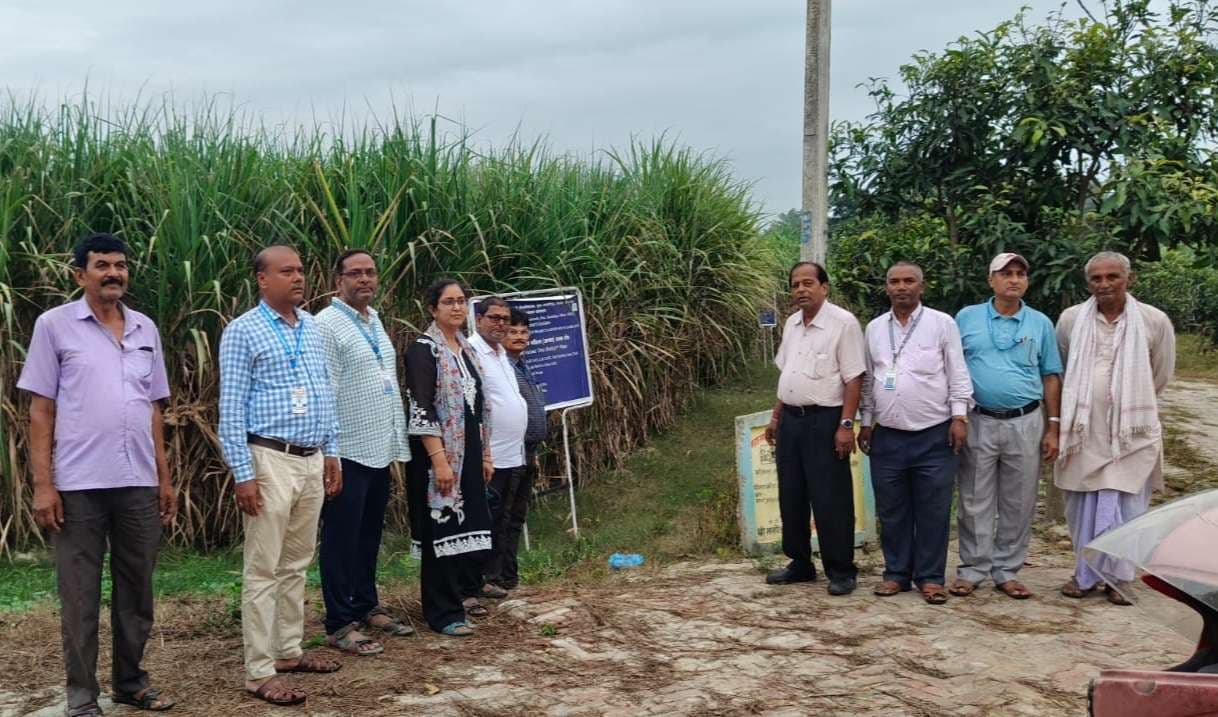 Samastipur News:लालसर रोग से निजात को शोध की हुई शुरुआत : डॉ बलवंत