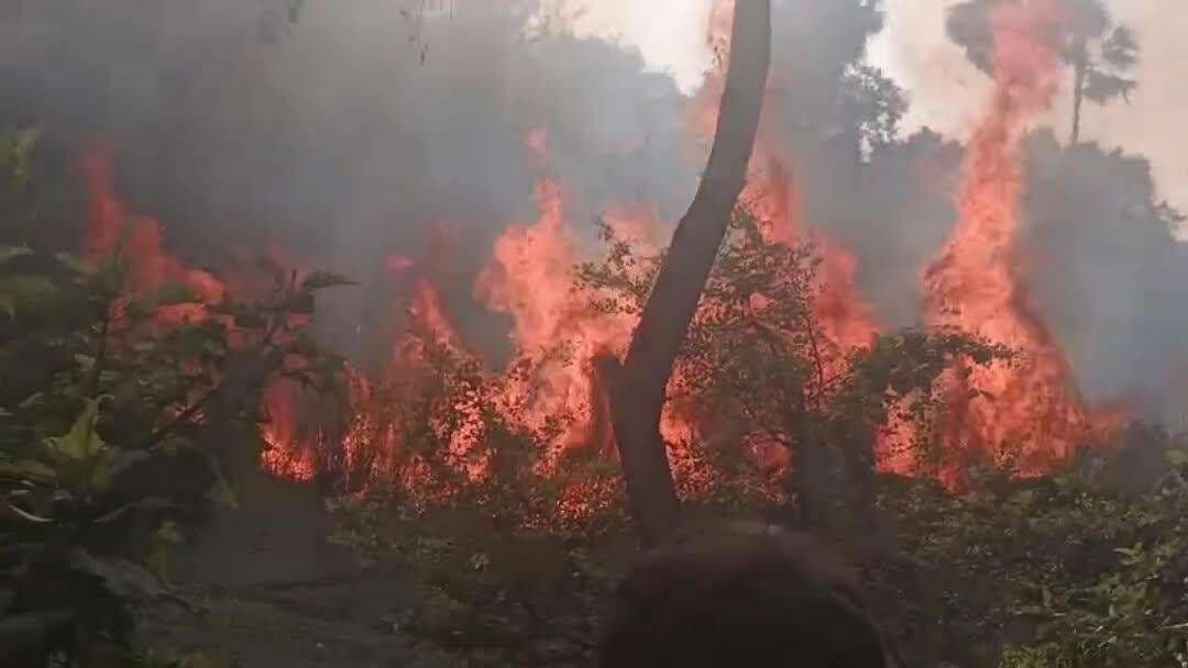 Samastipur News:बनडीह असली में इकरी खेत में लगी आग