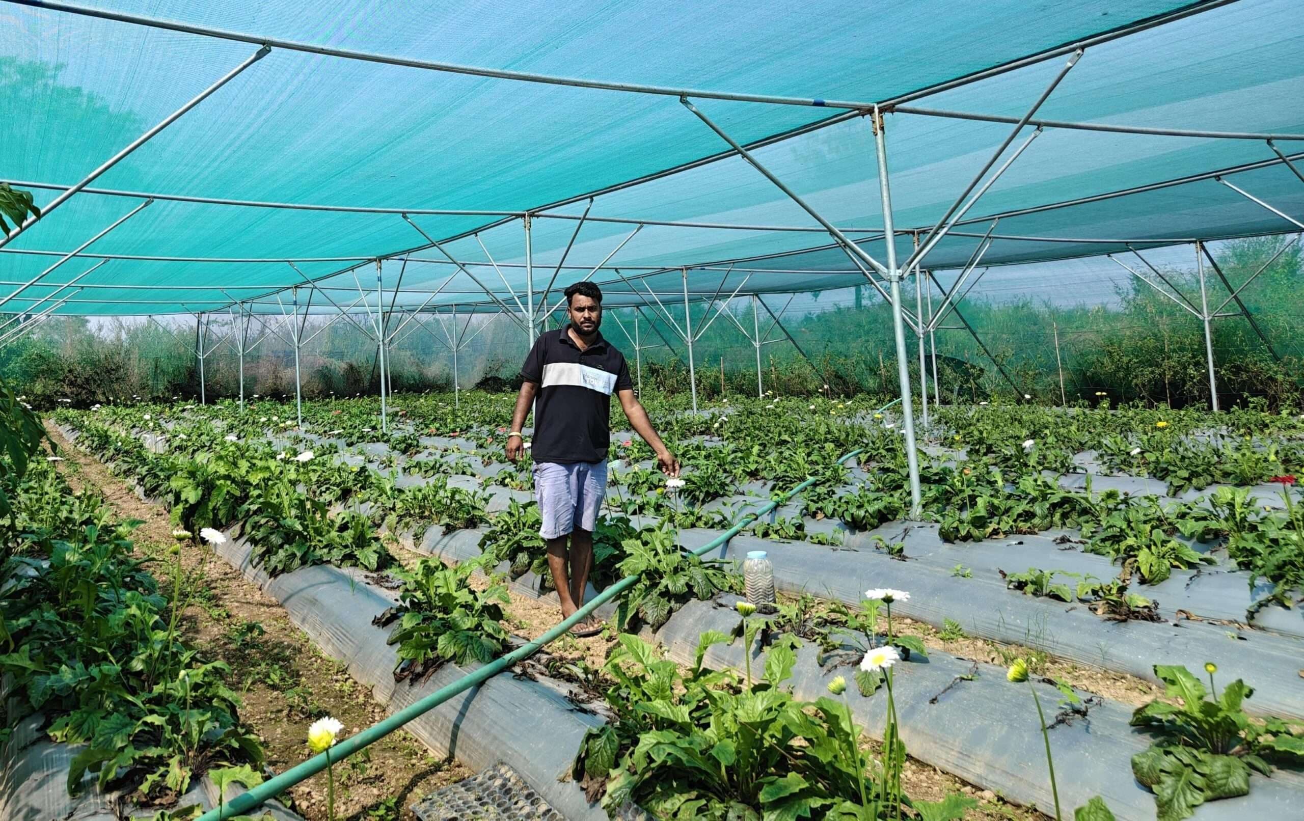 फूलों की खेती कर आत्मनिर्भर बन रहे खलारी के किसान