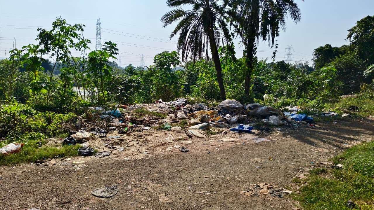 बोरियो सीएचसी के पीछे गंदगी का लगा अंबार, लोग परेशान