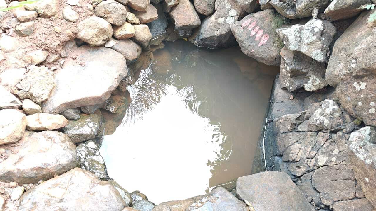 झरने के पानी से प्यास बुझ रहे पहाड़िया टोला के लोग