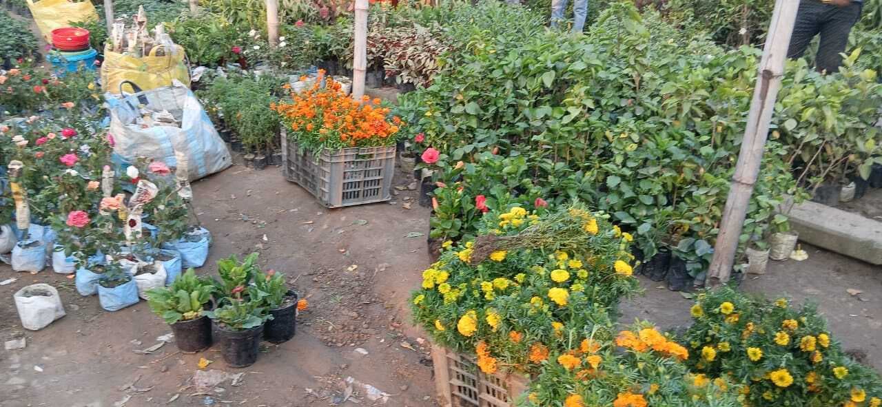 ठंढ़ शुरू होते ही फूलो से सज रहा घर