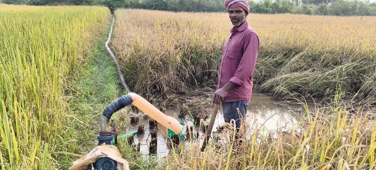 Darbhanga News: धान की खेत में जमे पानी को पंपसेट के जरिये बाहर निकाल रहे किसान