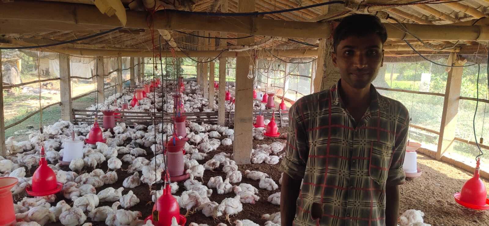 East Singhbhum News : डुमरिया में पोल्ट्री फार्म बने रोजगार का बेहतर विकल्प