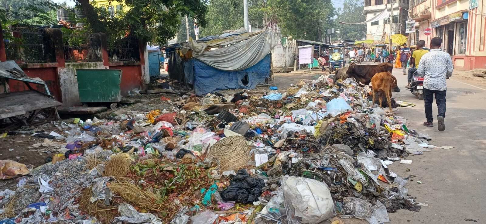 मुंगेर जिले में जनवरी से अक्तूबर के बीच 10 माह में कुत्तों के काटने से घायल हुए 8,381 लोग