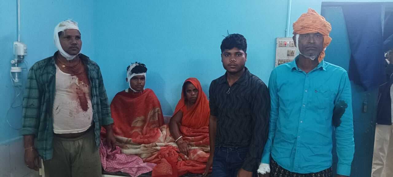 क्रिकेट बॉल लाने के दौरान दबंगों ने की मारपीट, घायल