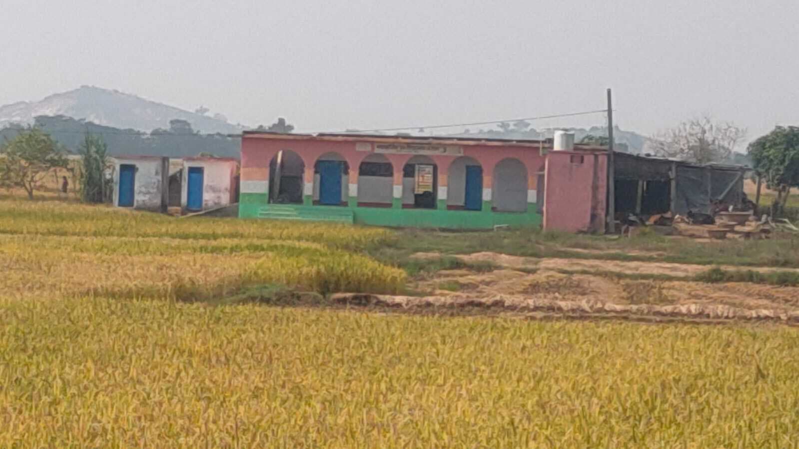 प्राथमिक विद्यालय जंगल तक नहीं बनी सड़क, खेतों के पगडंडी से होकर स्कूल जाते हैं बच्चे