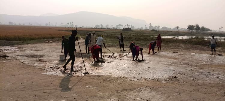 जिले के कई गांवों में धान की कटनी में आयी तेजी