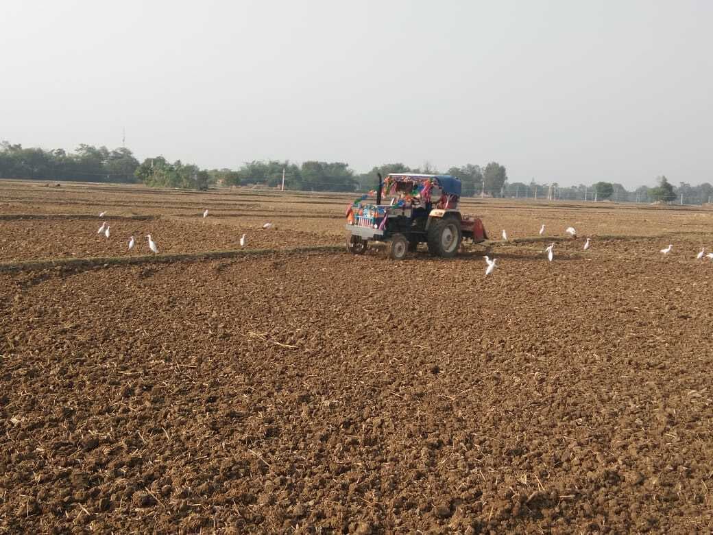 रबी फसल की बुआई की रफ्तार हुई तेज, किसानों के चेहरे पर लौटी रौनक