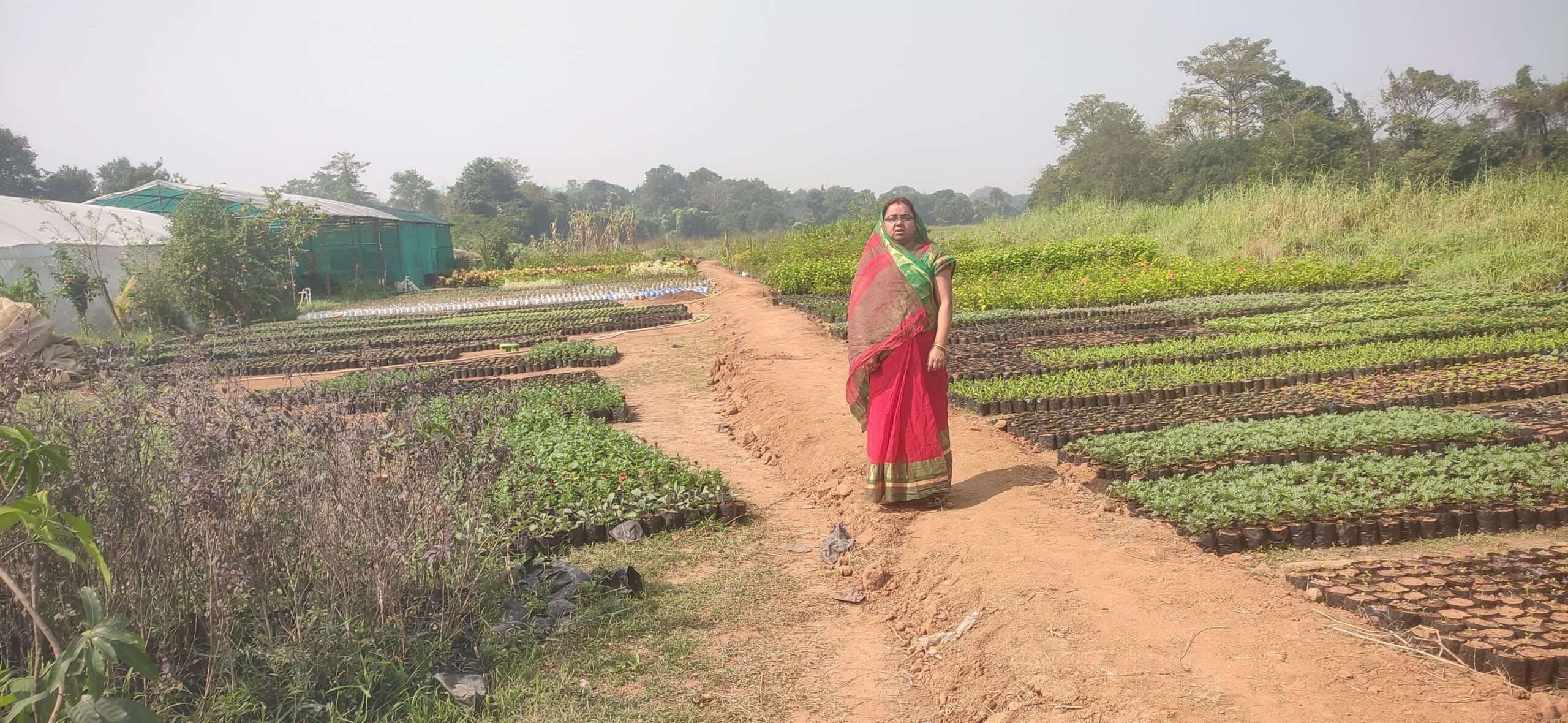 dhanbad news: ग्रामीण महिलाओं को सशक्त बना रहा आजीविका सखी मंडल