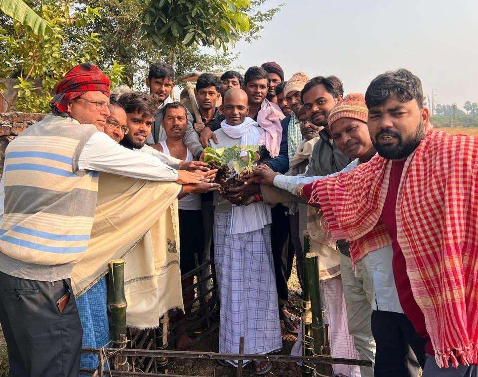 पौधे लगाकर की नयी परंपरा की शुरुआत