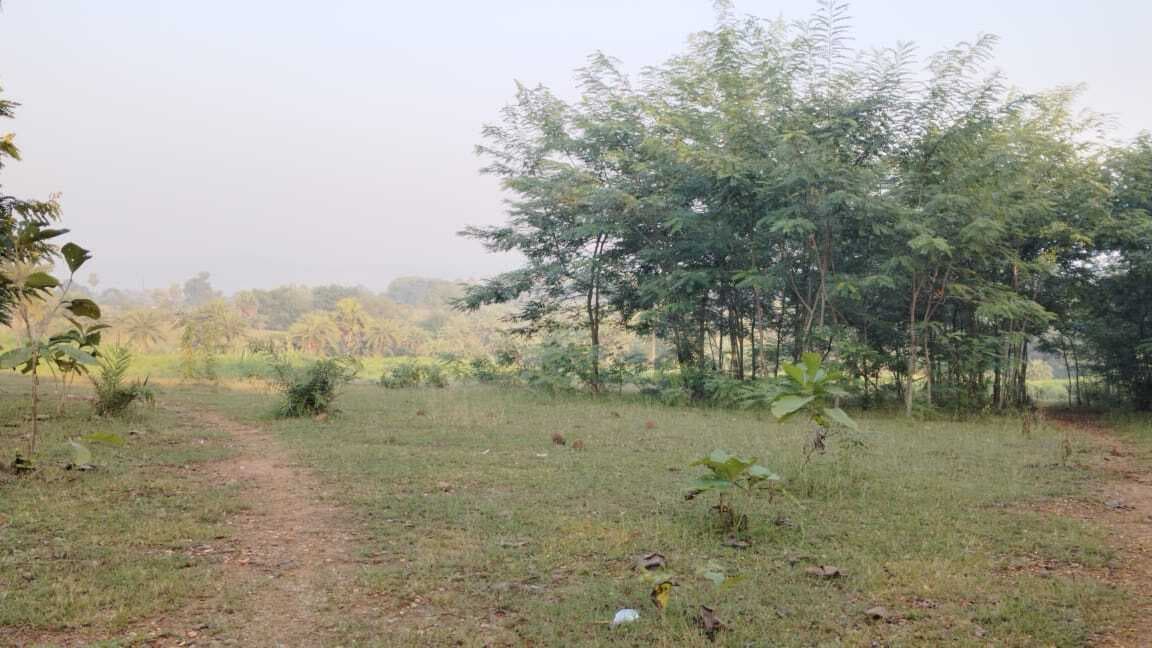 विशेष00 मंडरो में बनेगा मेडिकल और इंजीनियरिंग कॉलेज, शिक्षा-रोजगार के बढ़ेंगे साधन