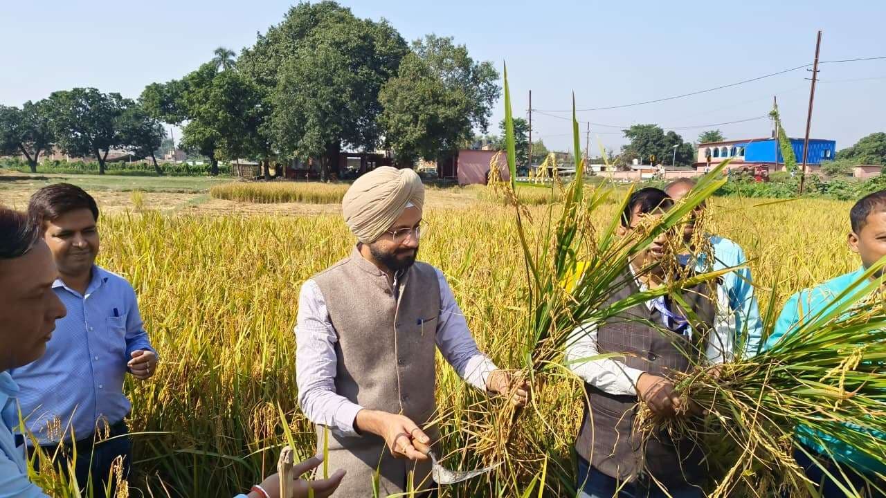 अगहनी धान की उत्पादकता का डीएम ने किया निरीक्षण