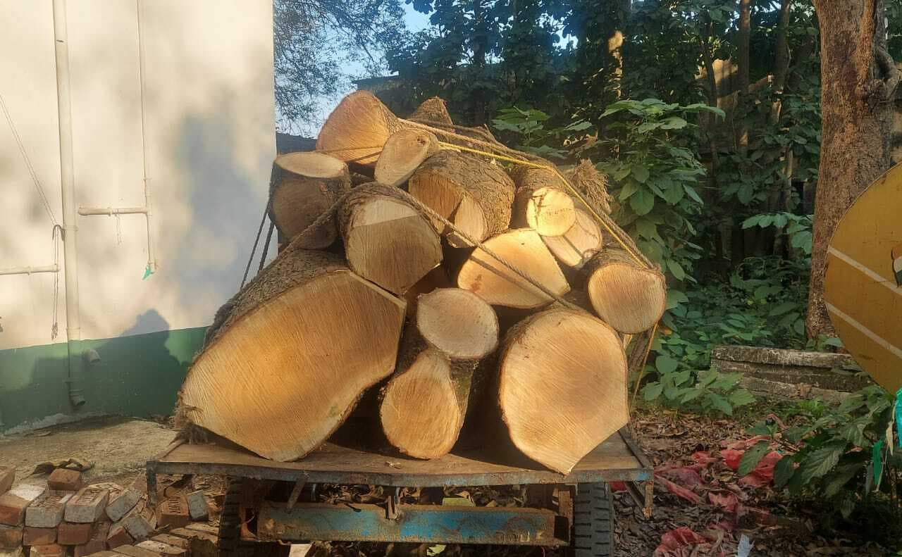 दो जुगाड़ गाड़ी में लदी 22 बोटा लकड़ी जब्त