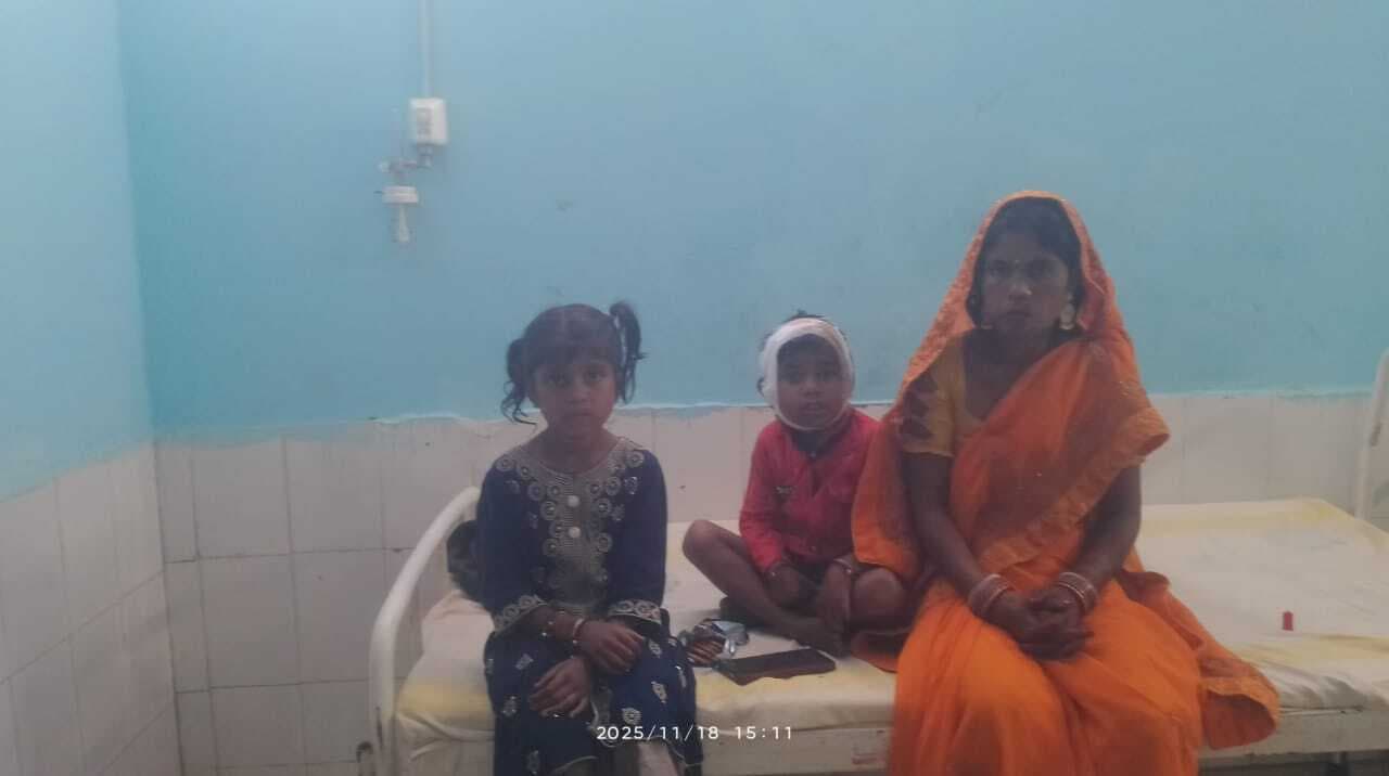 ट्रैक्टर की ठोकर से ऑटो गड्ढे में गिरा, कई यात्री घायल