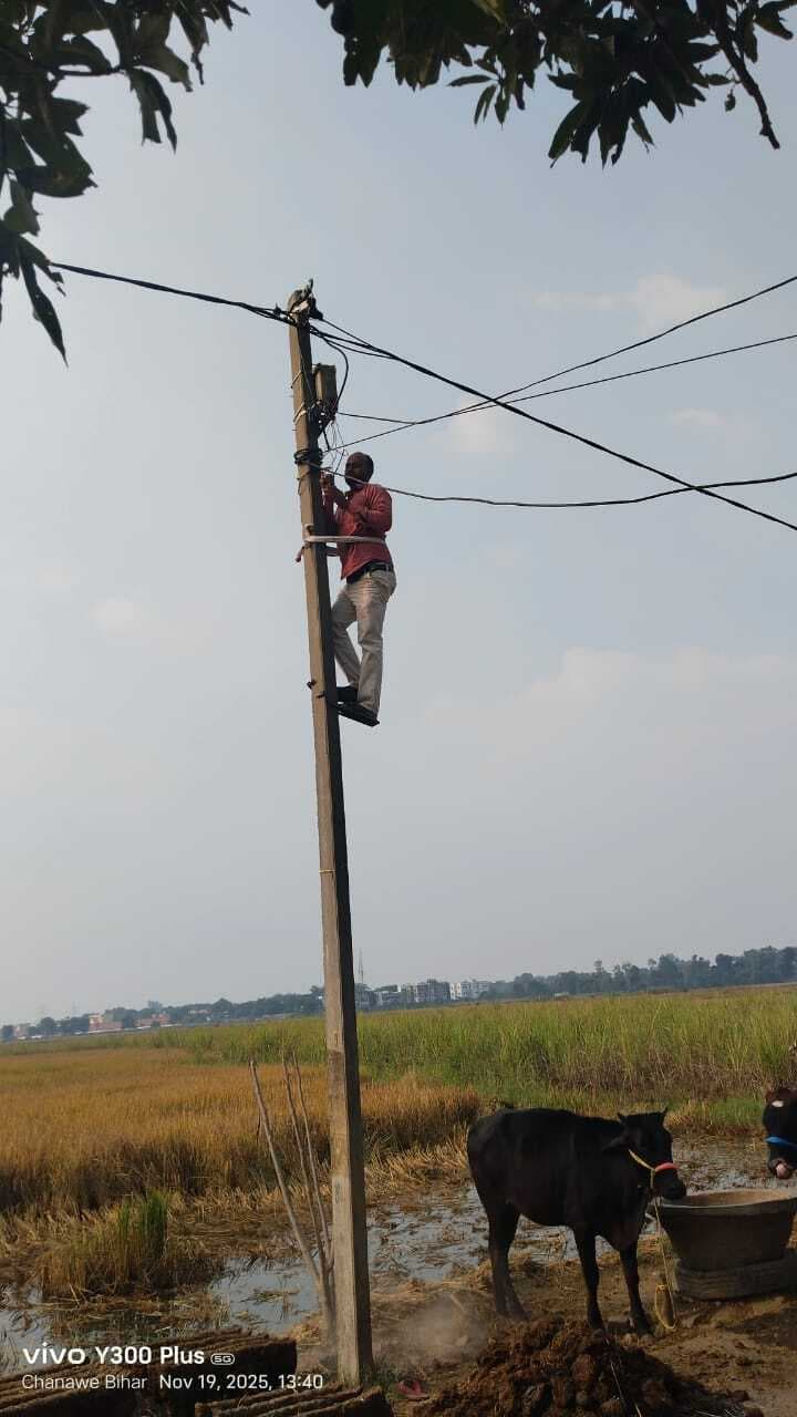 थावे में बिजली कंपनी ने 16 बकायेदारों के कनेक्शन काटे