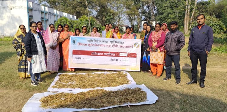 East Singhbhum News : मशरूम के उत्पादन से आत्मनिर्भर बन रहीं महिलाएं