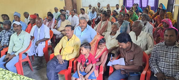 अनुदानित दर पर किसानों को दिया जा रहा है मसूर व तोरी का बीज