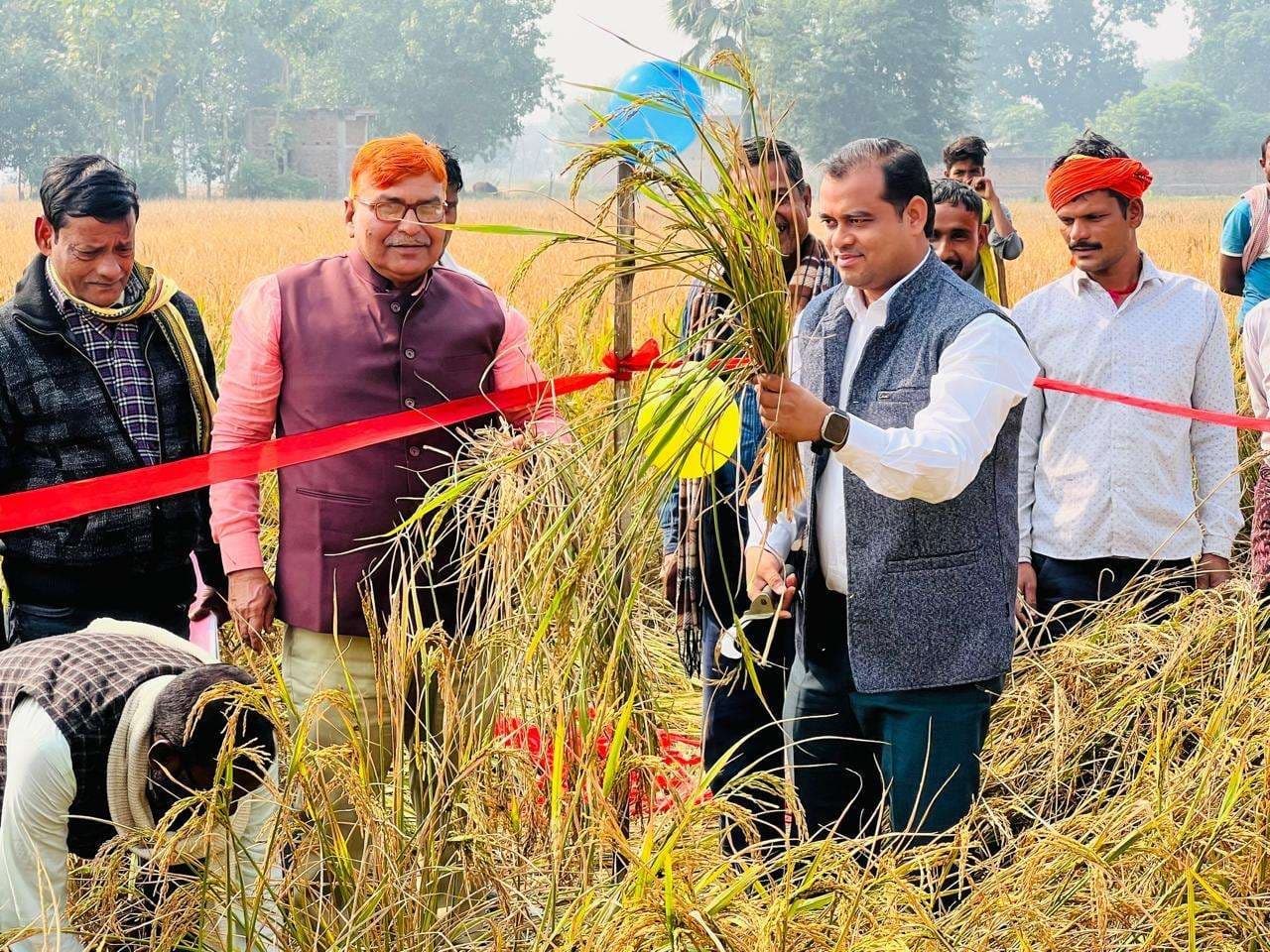 अगहनी धान का पंचायत स्तरीय फसल कटनी का हुआ प्रयोग