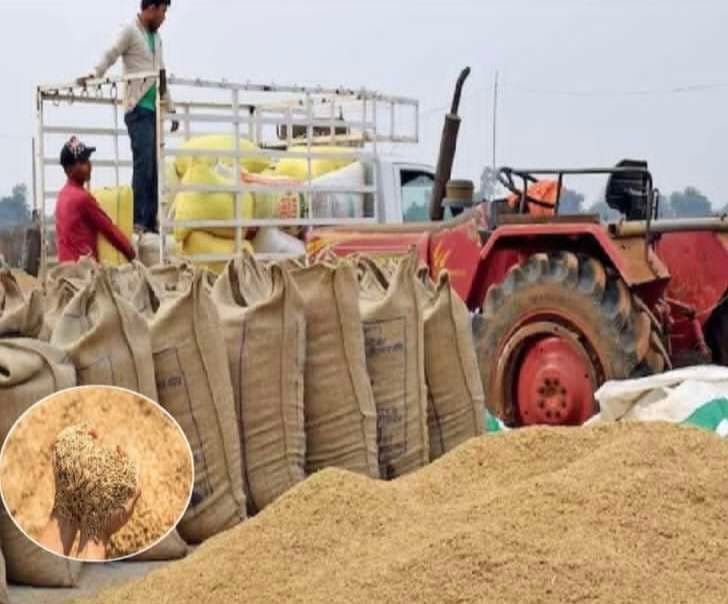 Giridih News: नहीं चालू हो सका पैक्स, औने-पौने दाम पर धान बेचने को विवश हैं किसान