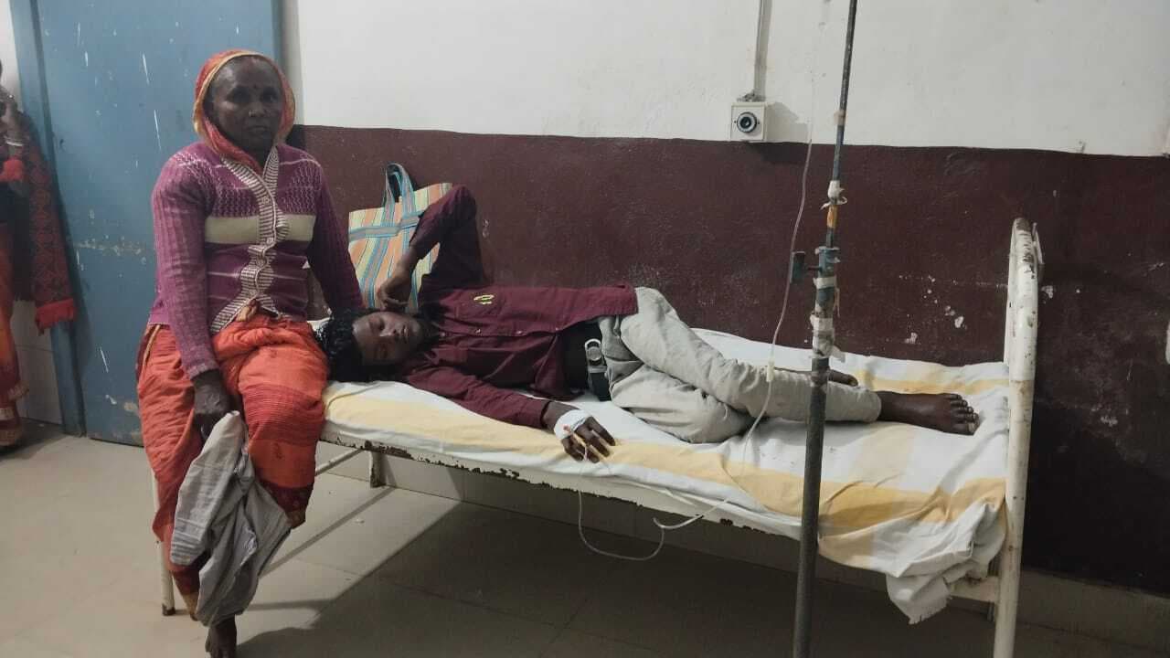 सांप ने किशोरी को डसा, अब खतरे से हैं बाहर