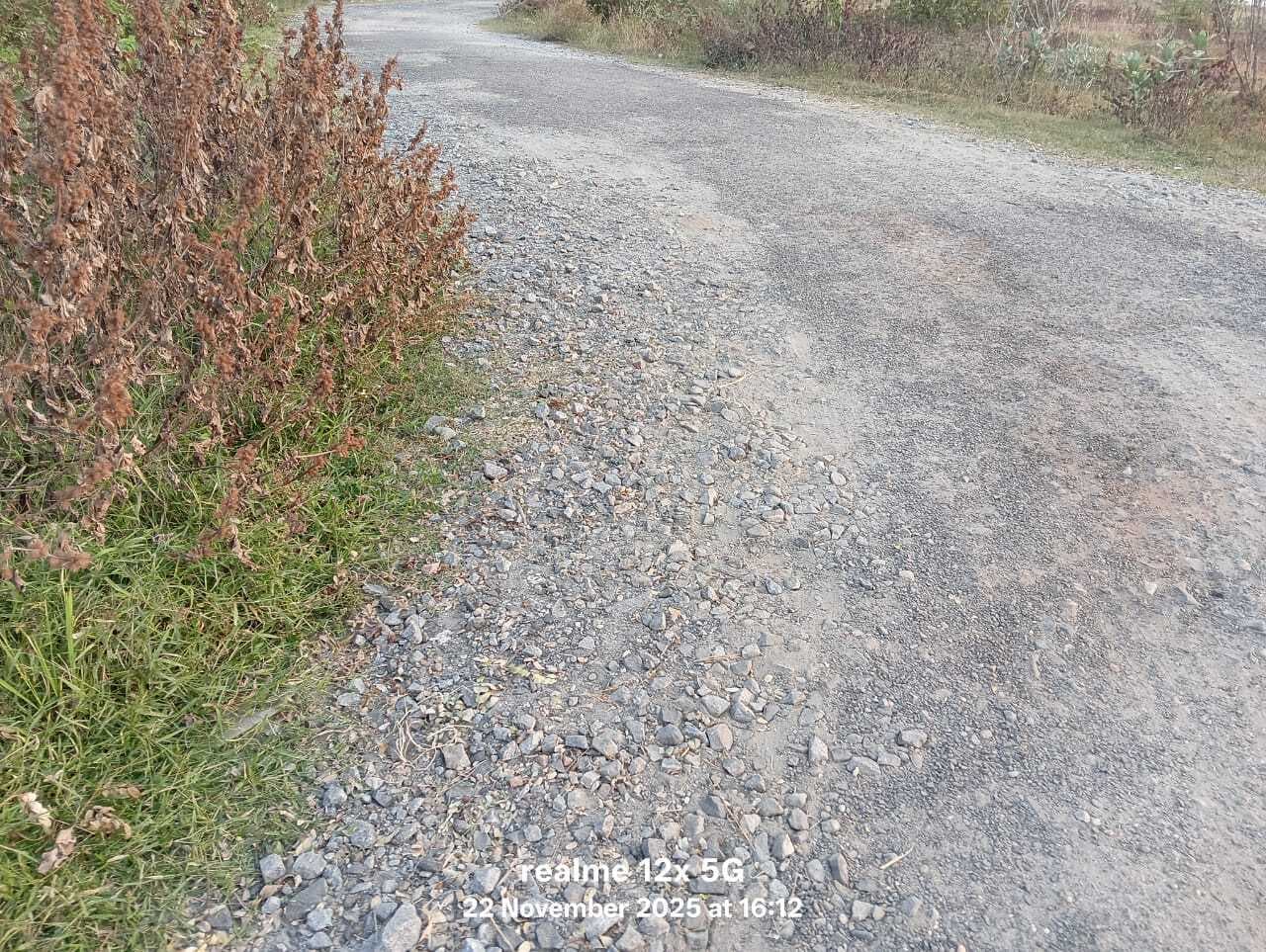 ग्रामीणों ने की सीरिया-करौं सड़क निर्माण कराने की मांग