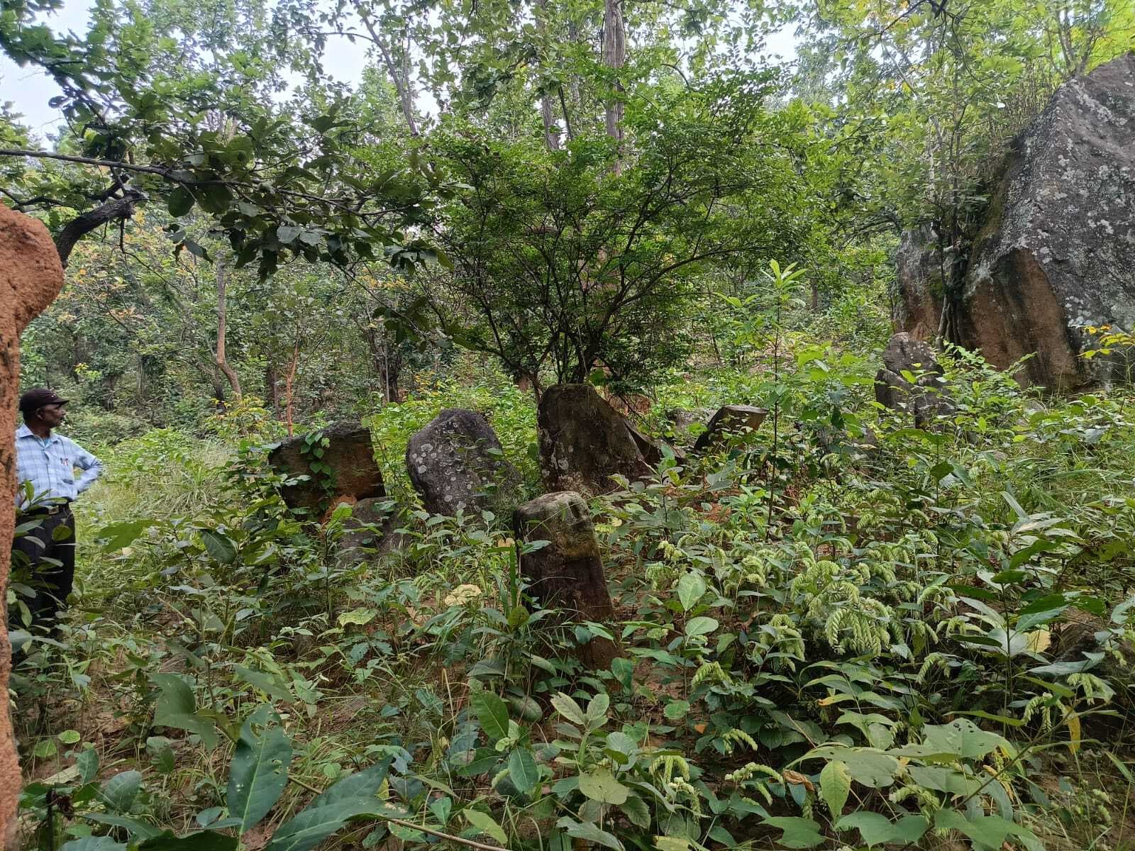 पिपरवार में ईसा पूर्व 2000 वर्ष पुराने मेगालिथ का पता चला