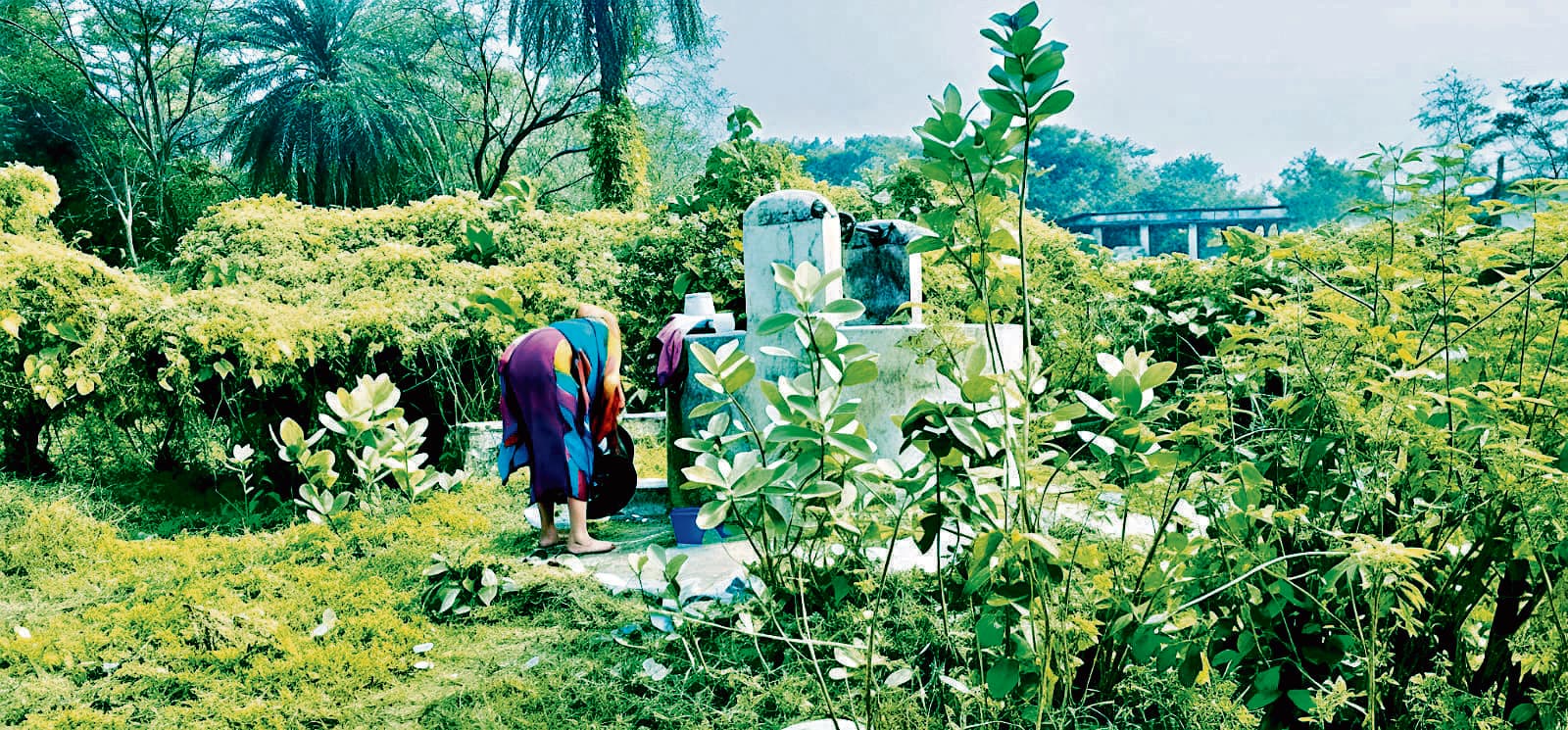 East Singhbhum News : स्वच्छ पेयजल हुआ सपना, भटक रहे लोग