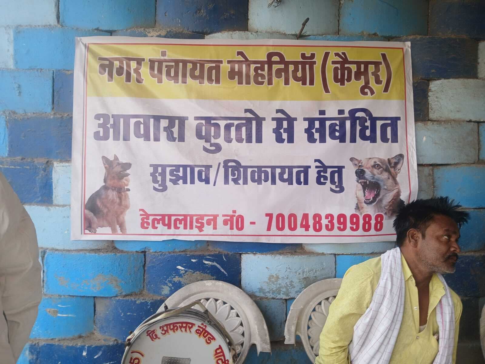 आवारा कुत्तों की शिकायत के लिए नगर प्रशासन ने जारी किया हेल्पलाइन नंबर