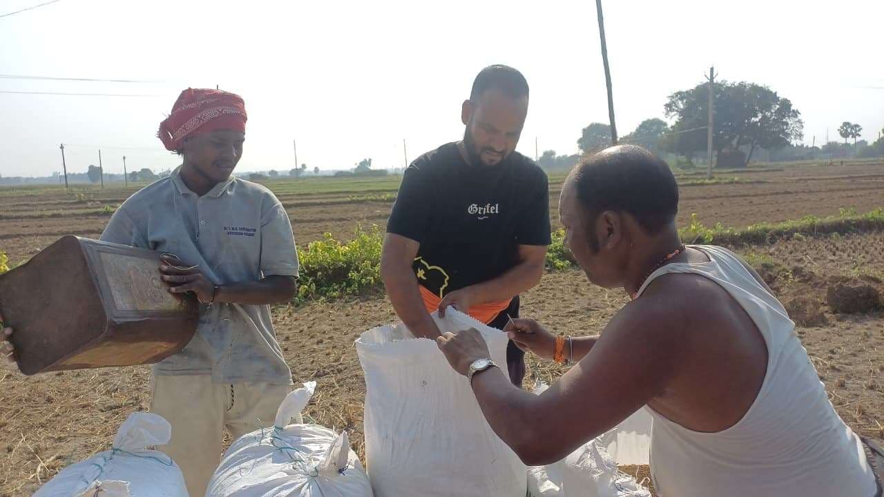 धान खरीद पर नमी ने लगाया ब्रेक, अब तक मात्र 246.642 एमटी धान की हो सकी है खरीददारी