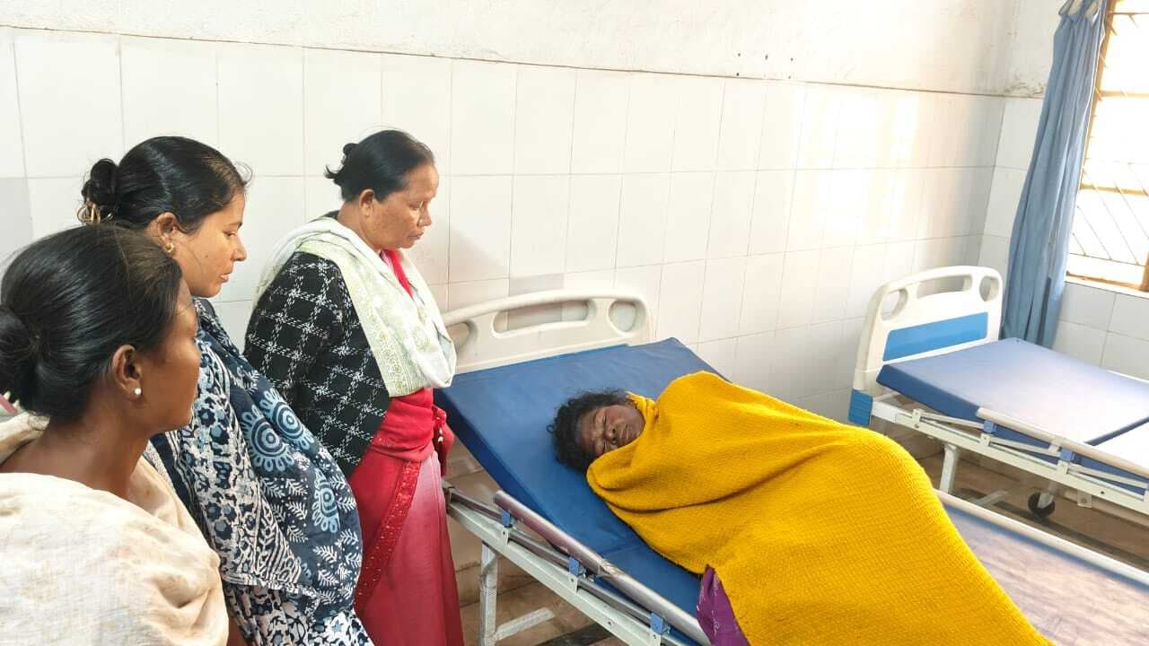 मधुमक्खियों के हमले से बुजुर्ग महिला घायल, भर्ती