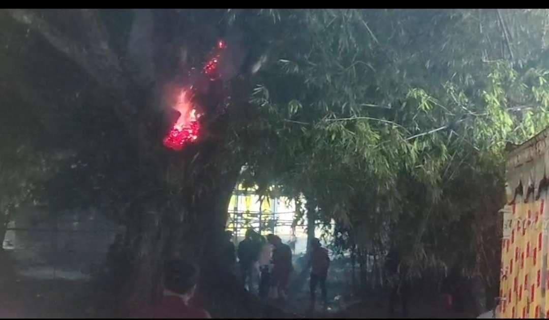 Giridih news :पटाखे से सूखे पेड़ में लगी आग, मची अफरा-तफरी