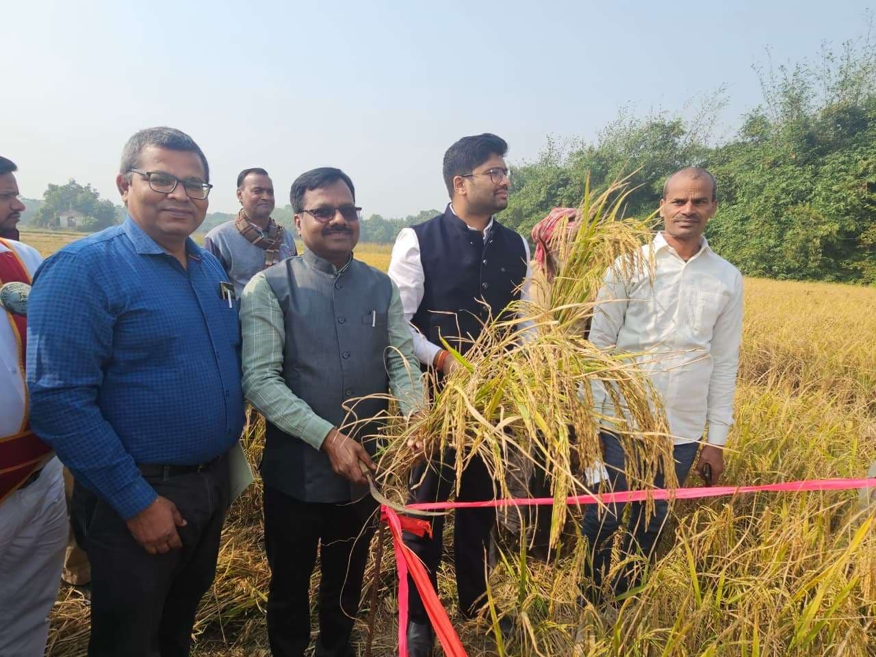 फसल कटनी का निरीक्षण करने पहुंचे जिलाधिकारी ने पकड़ा हंसुआ, काटा धान