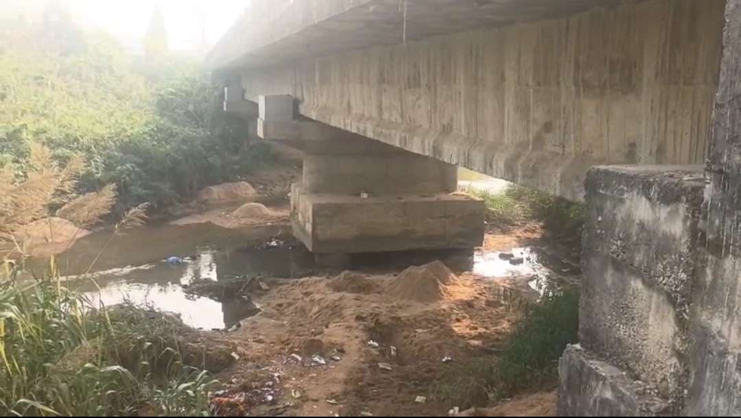 बालू के अवैध खनन से मालडीह गांव के पास बने पुल का पीलर हो रहा क्षतिग्रस्त